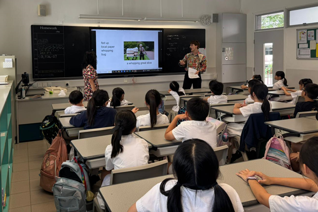 Primary school English lessons